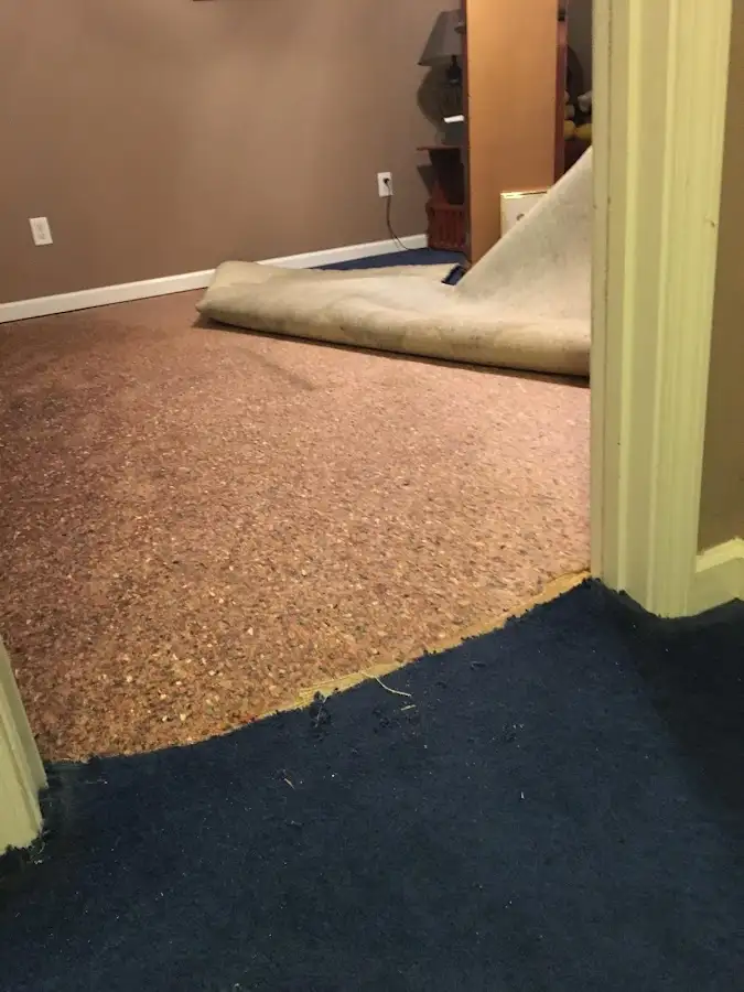 Carpet pad removal revealing water damage during Water Mitigation Services in Garnet