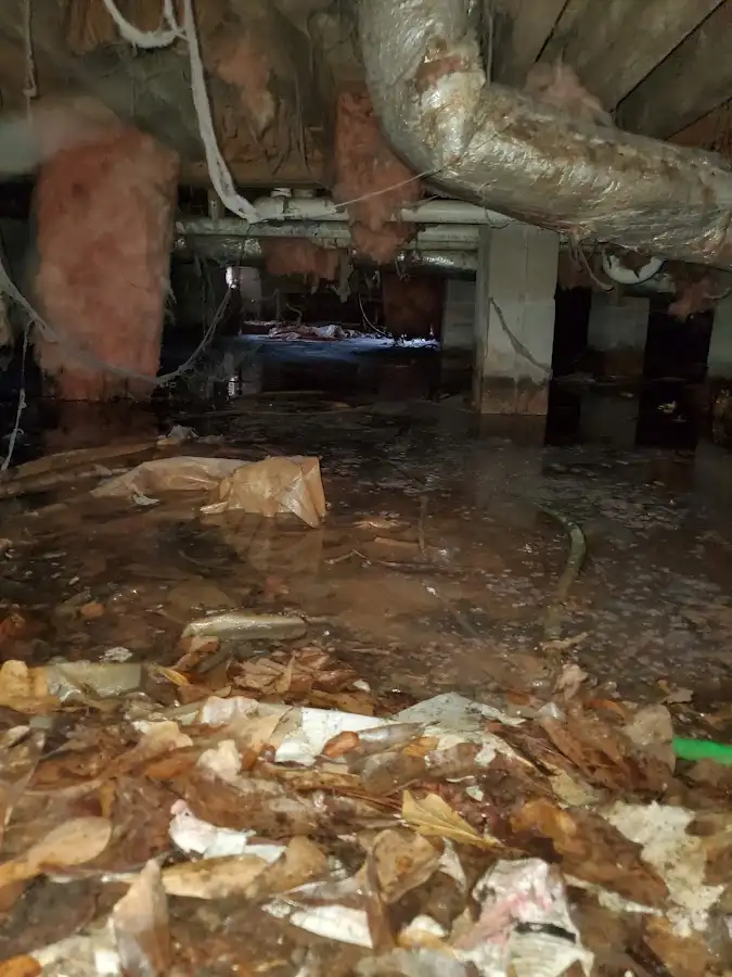 Crawl space flood assessment for Leak Detection & Repair in Garnet