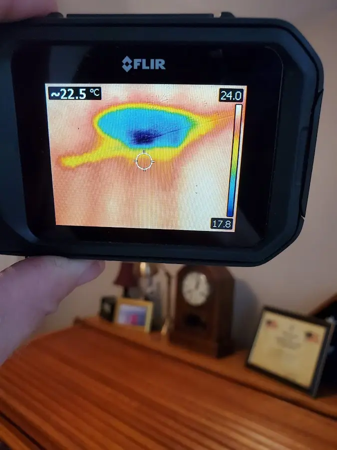 Thermal imaging inspection for water damage in Garnet