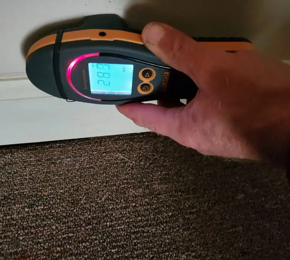 Moisture detection at baseboard during Sewage Cleanup & Sanitation in Garnet